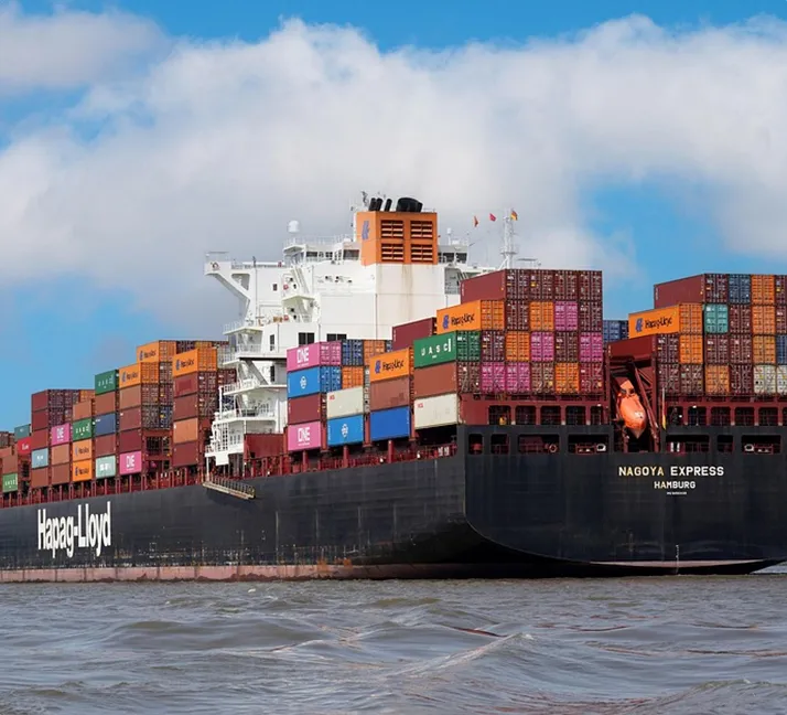 15+ Bulk Carrier Business Experience