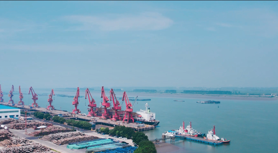 Zhangjiagang - Solomon Islands Direct Bulk Carrier, June, 2025